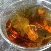 Bolsitas de té que transforman una taza ordinaria en un acuario con un pez dorado