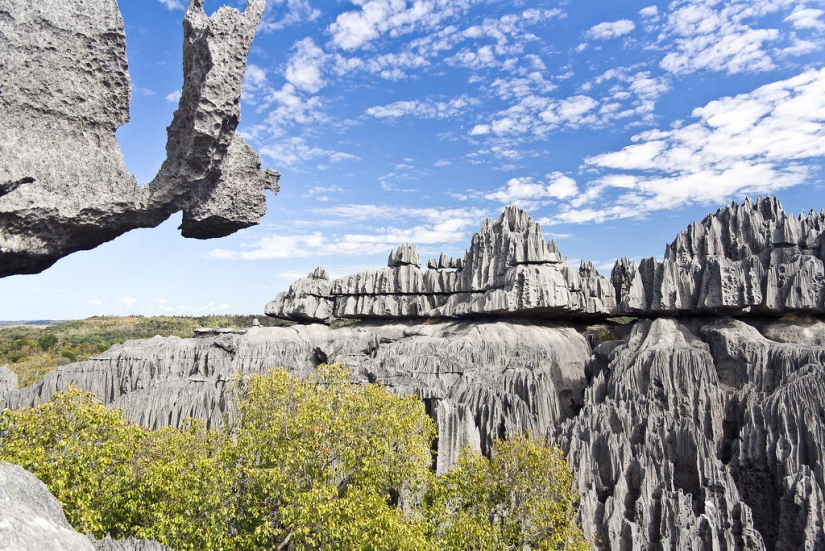 Bosque de piedra en Madagascar