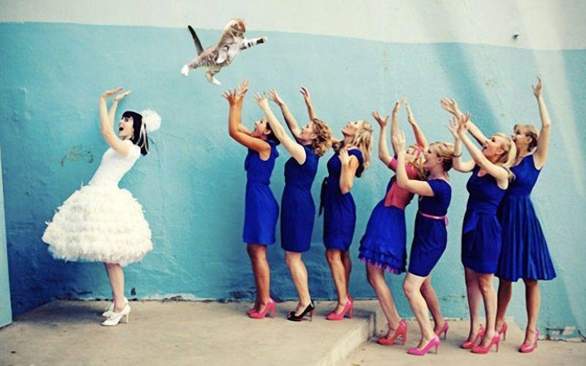 Brides leaving ... cats!