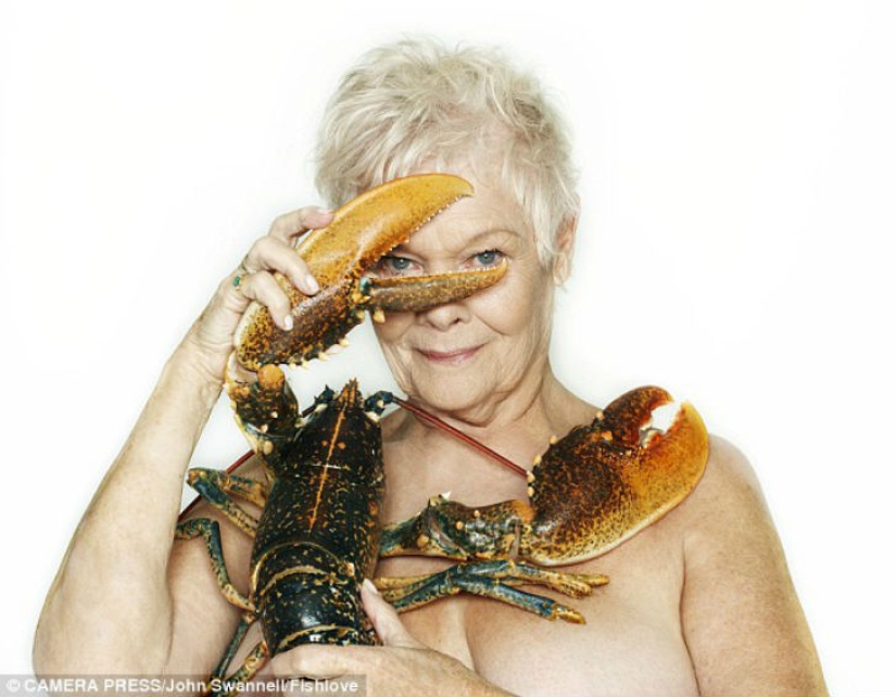 British celebrities undress in defense of the herring
