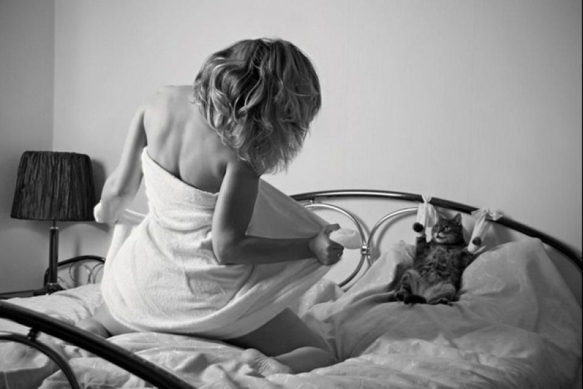 Bueno y esponjoso: el estudio demuestra que el gato de la señora no es sola histérica