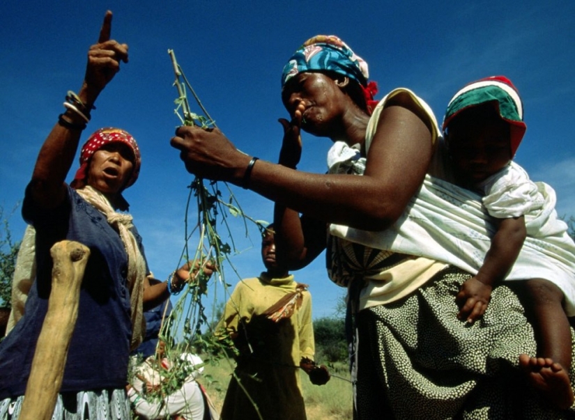 Bushmen — the last battle for the first people of South Africa