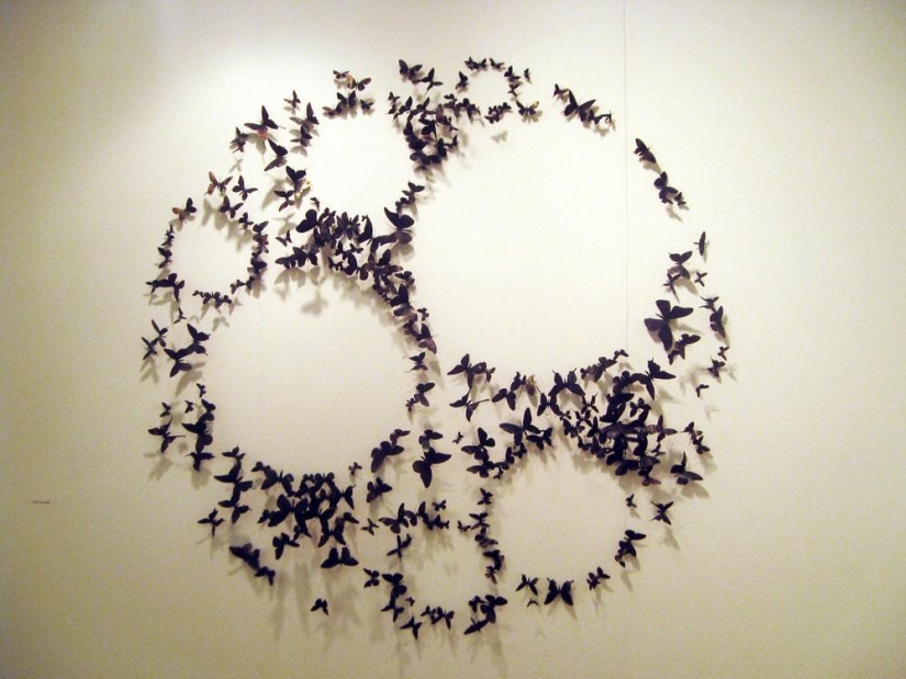 Butterflies as art