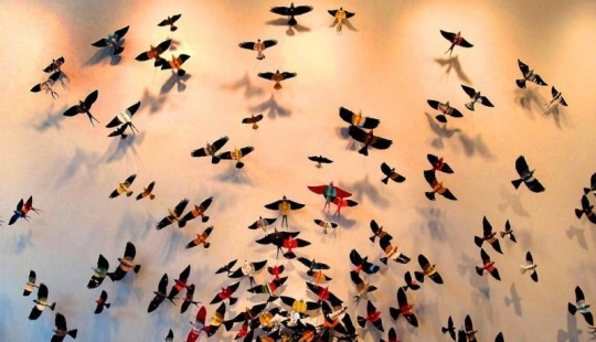 Butterflies as art