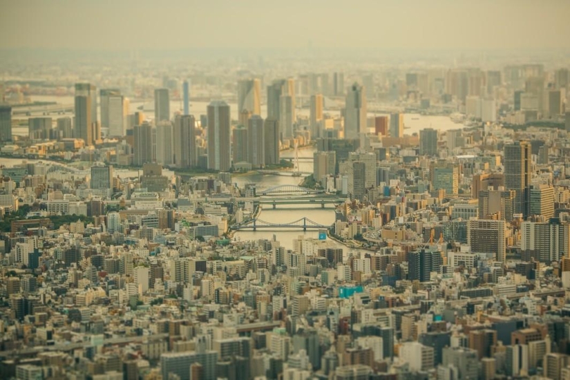 Camina por Tokio en miniatura con un maestro de la fotografía de cambio de inclinación
