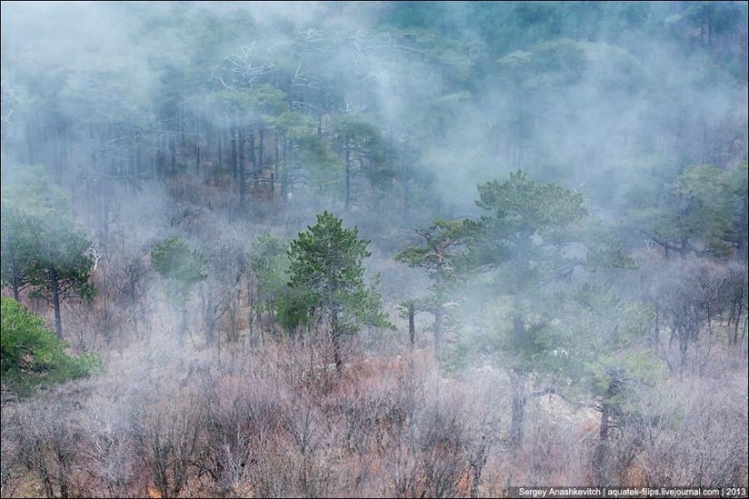 Caminar bajo las nubes. Meseta de Ai-Petri en Crimea