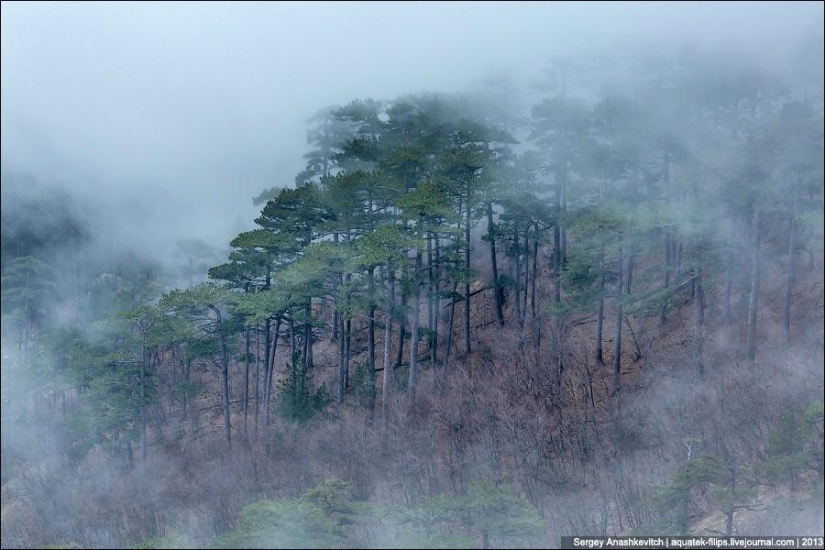 Caminar bajo las nubes. Meseta de Ai-Petri en Crimea