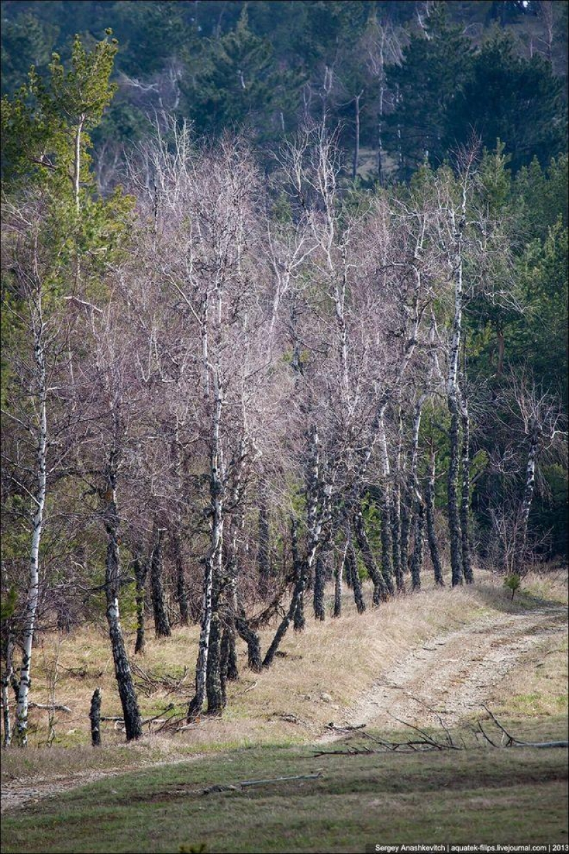 Caminar bajo las nubes. Meseta de Ai-Petri en Crimea