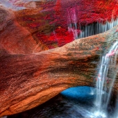 Canio Cristales-el río más hermoso de la Tierra