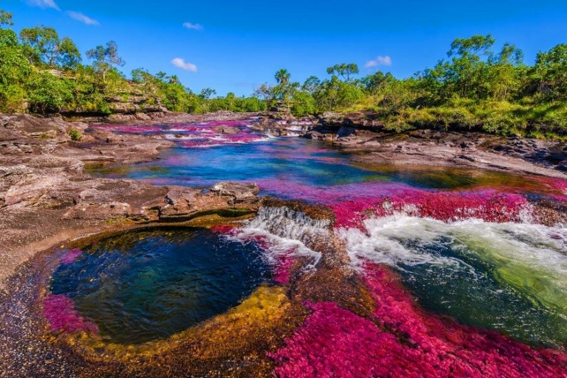 Canio Cristales — the most beautiful river on Earth