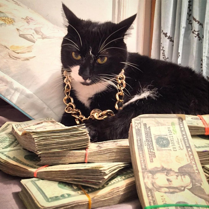 Cards, money, two barrel: 20 gangsteritto photos from instagram