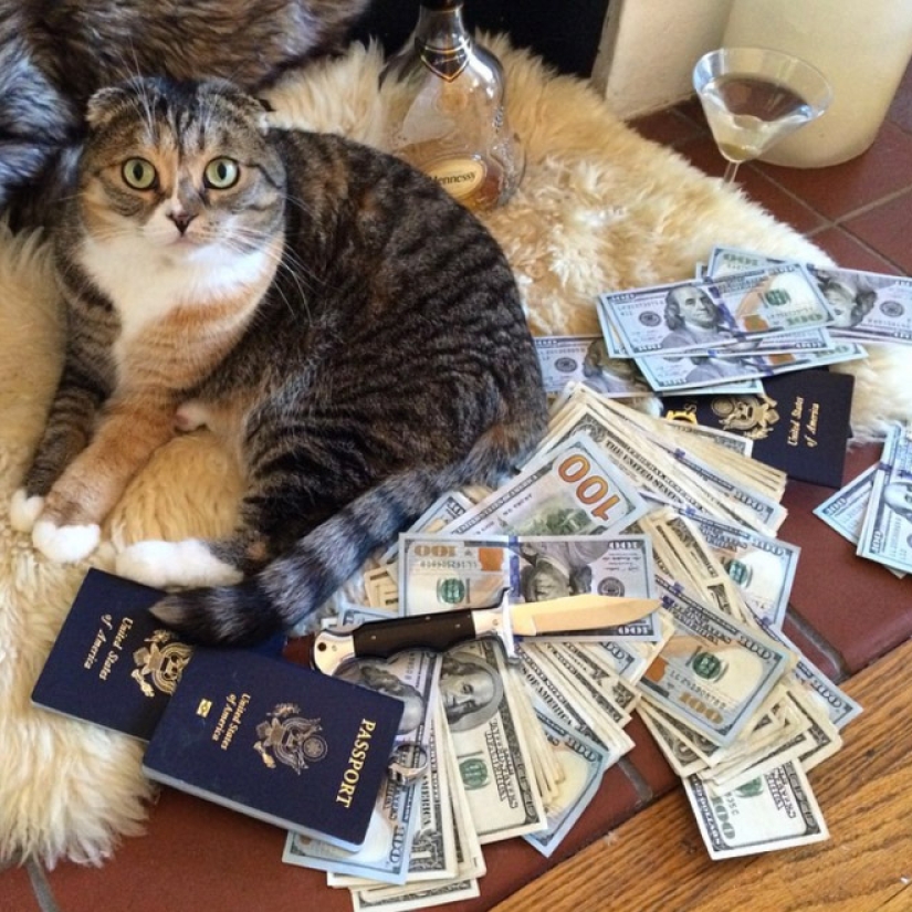 Cards, money, two barrel: 20 gangsteritto photos from instagram