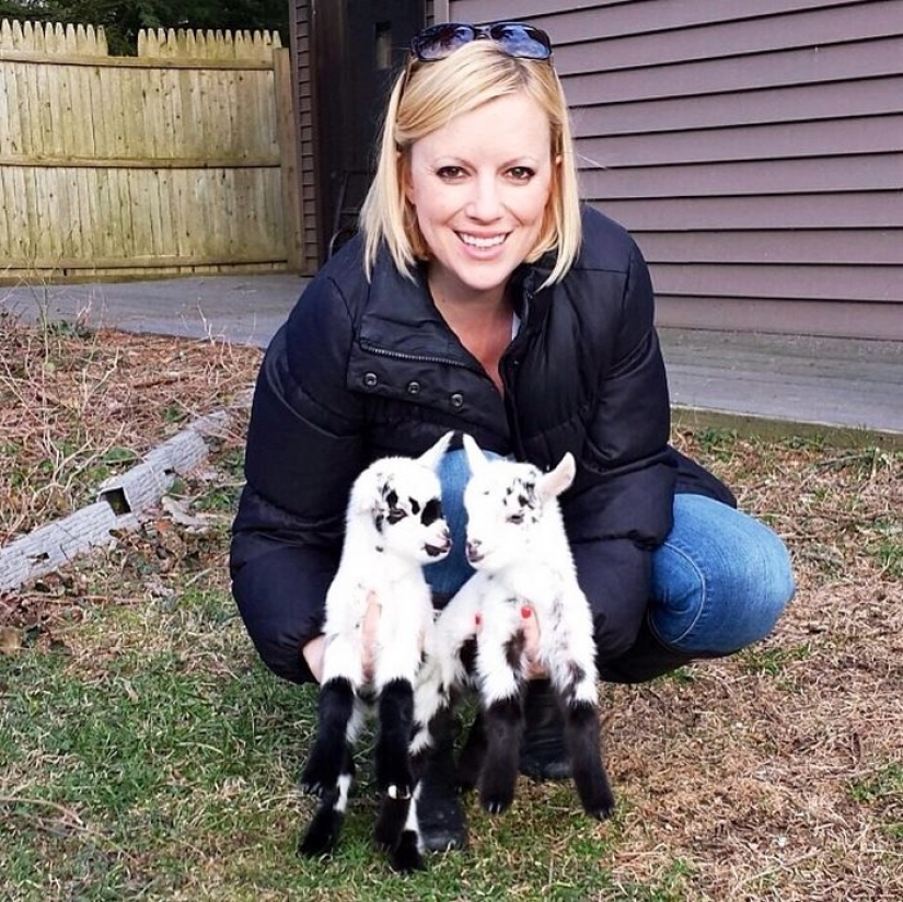 Careerist quit hard work to raise orphaned goats