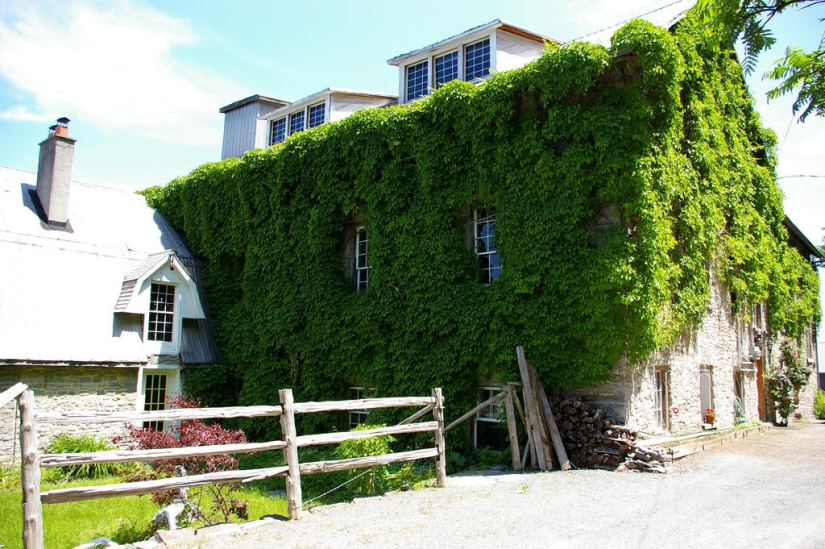 casas verdes