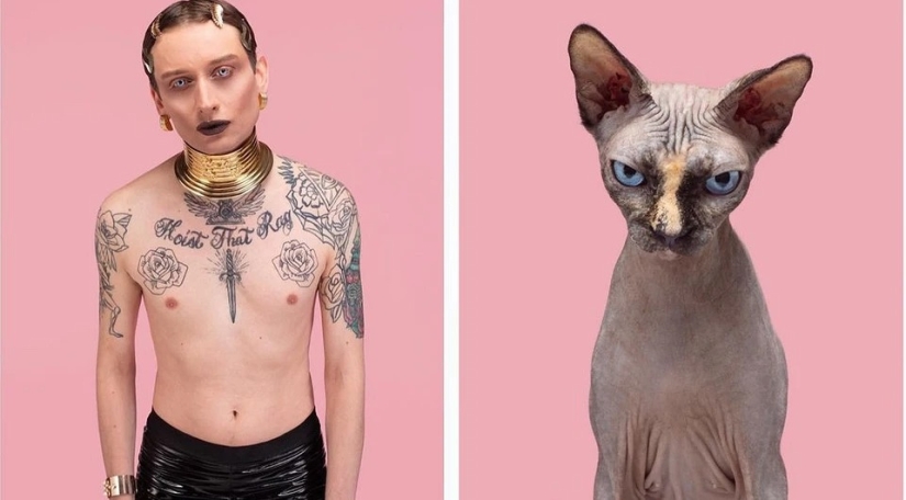 Casi indistinguibles: el fotógrafo ha mostrado cómo similar a los gatos con sus dueños