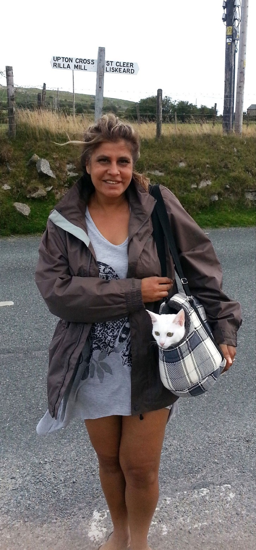 Cat traveling with its owners