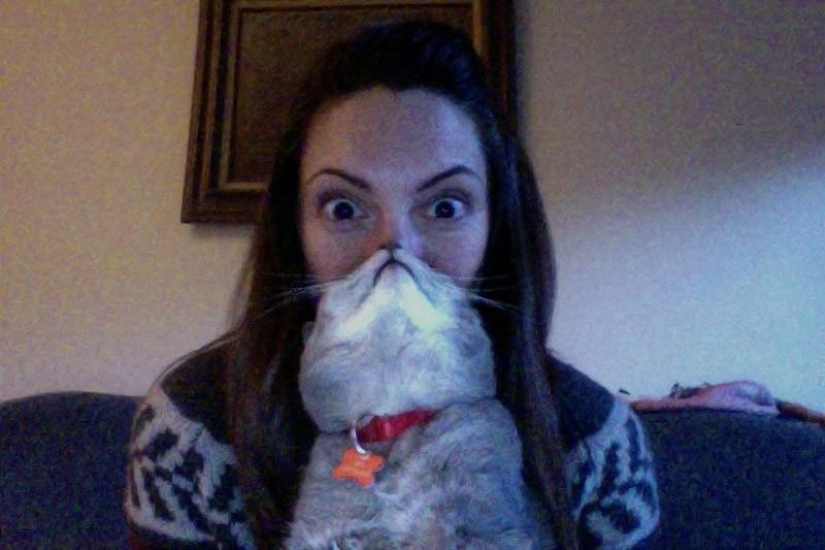 Catbeards - another photomem