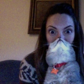 Catbeards - otro photomem
