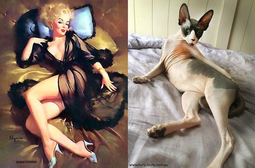 Cats and girls in pinup style