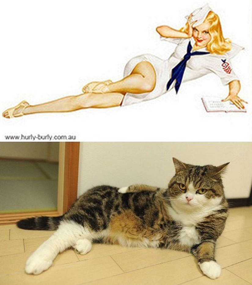 Cats and girls in pinup style