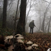 Caza de trufas en Italia