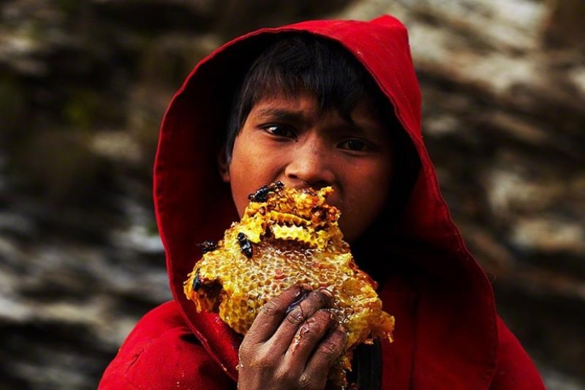 Cazadores de miel de Nepal