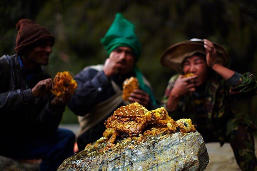 Cazadores de miel de Nepal