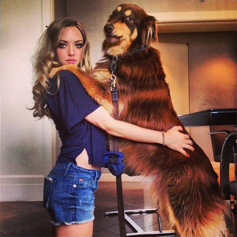 Celebrities obsessed with their pets