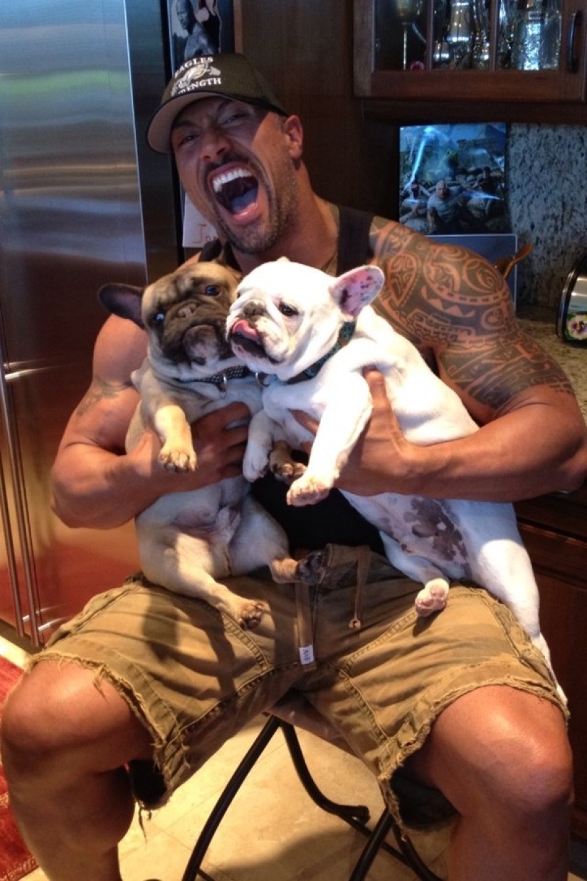 Celebrities obsessed with their pets