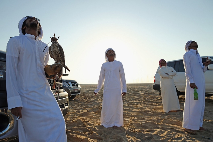 Cetrería en los Emiratos Árabes Unidos