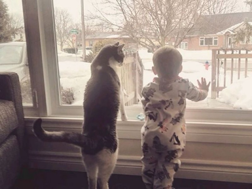 Charming photos proving that your child needs a cat