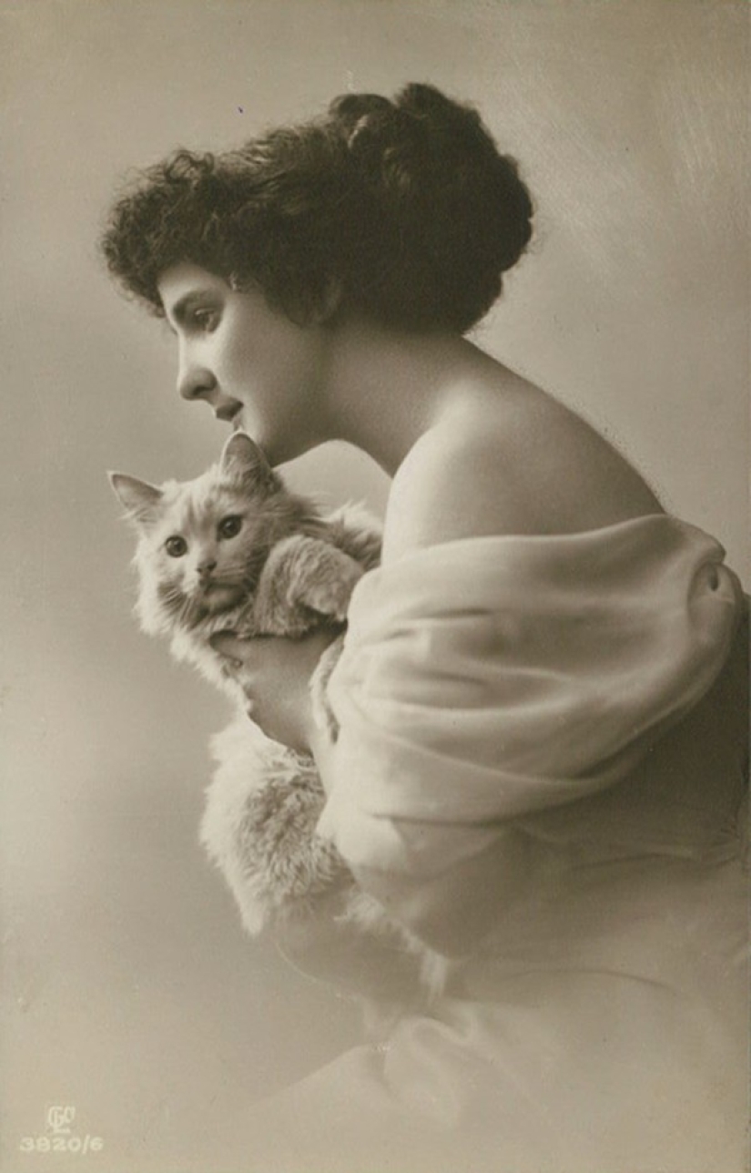 Charming vintage cats that will prove that cats have ruled the world at all times