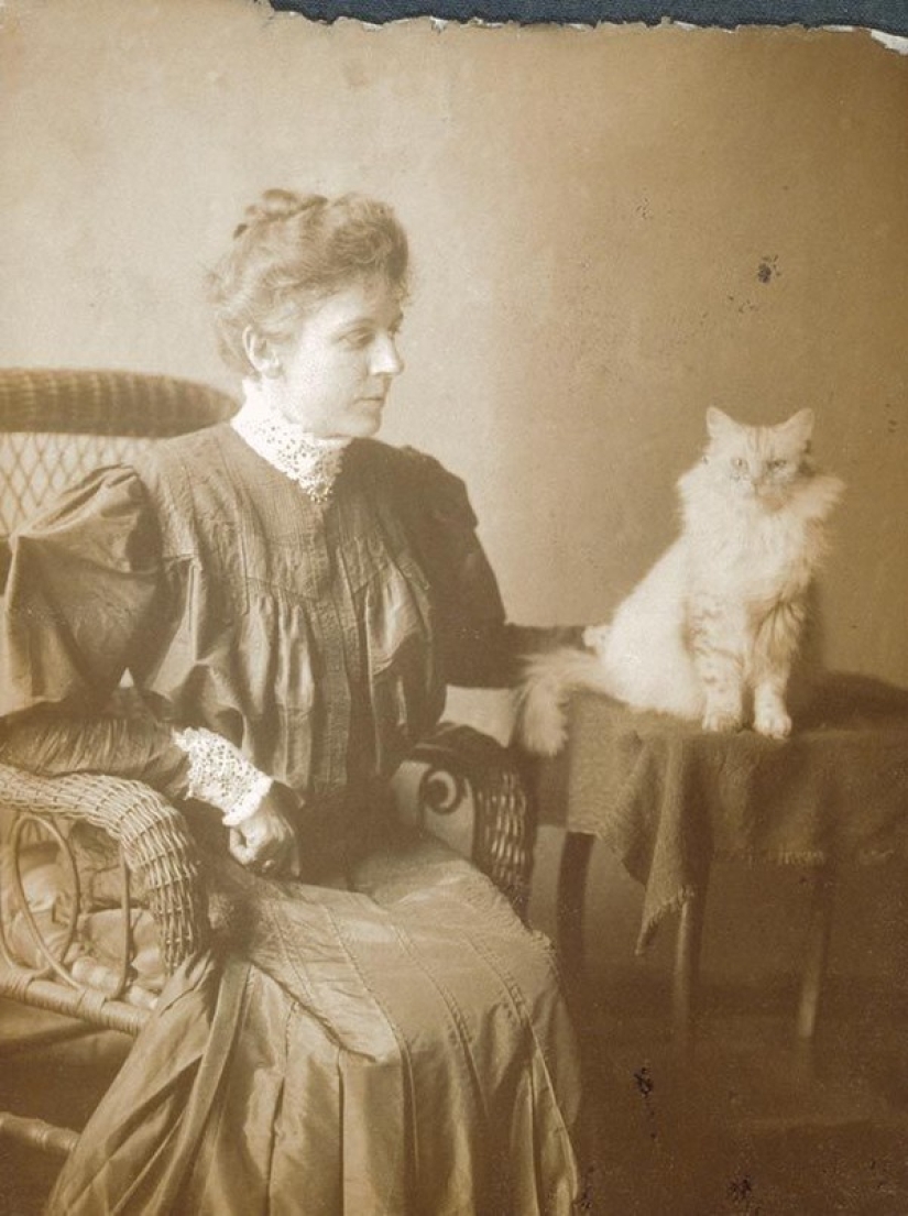 Charming vintage cats that will prove that cats have ruled the world at all times