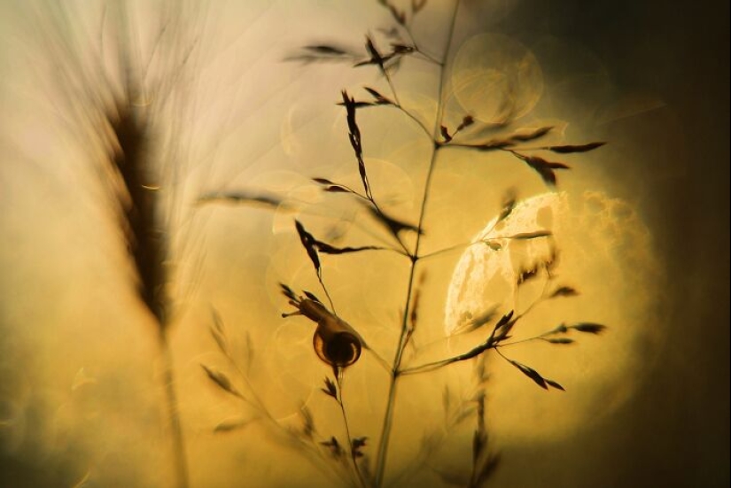 Chasing Light: una colección de mis 10 fotografías de la hora dorada