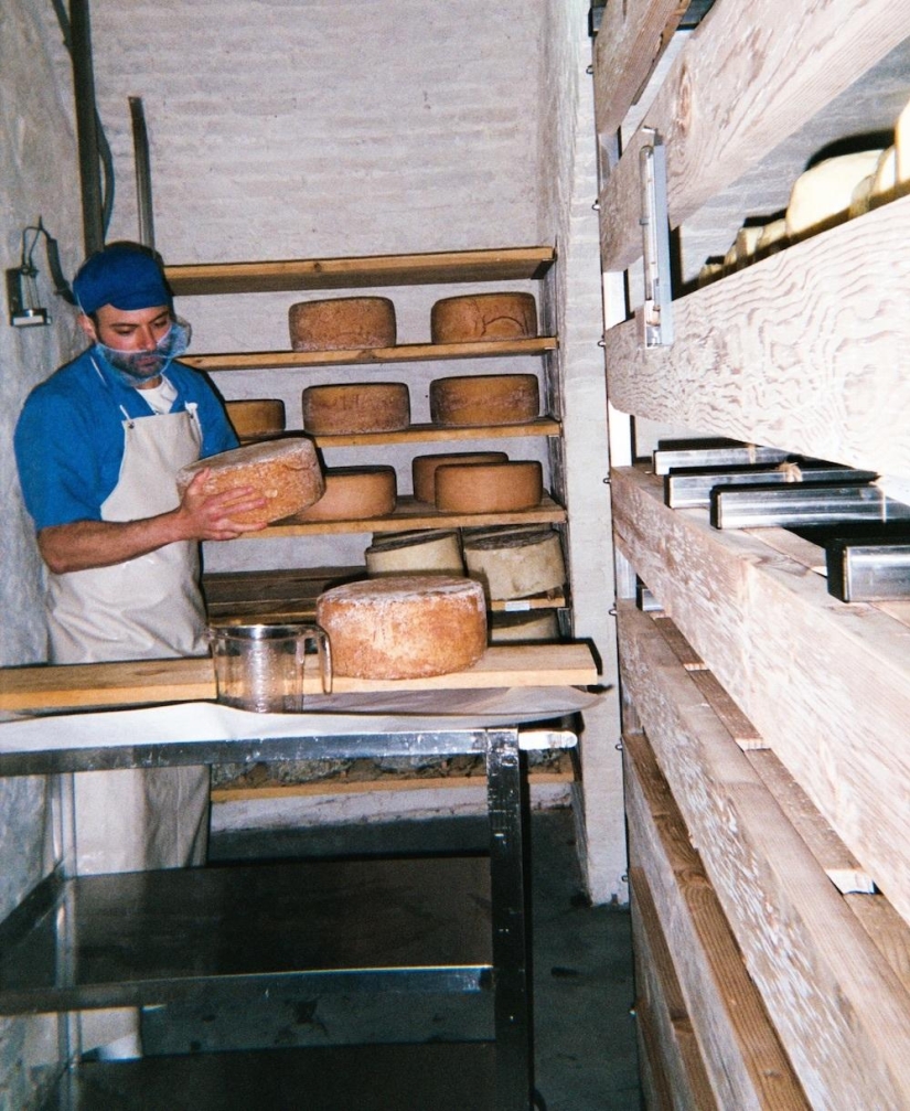 Cheese Hole: One day in the life of a Brooklyn cheese maker