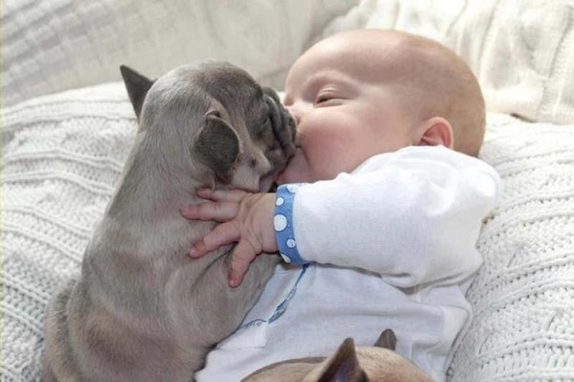 Child and puppies. Outrageous cuteness post