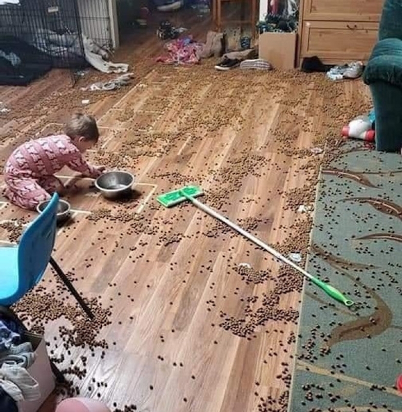 Children are a walking disaster, and here are 22 photo evidence