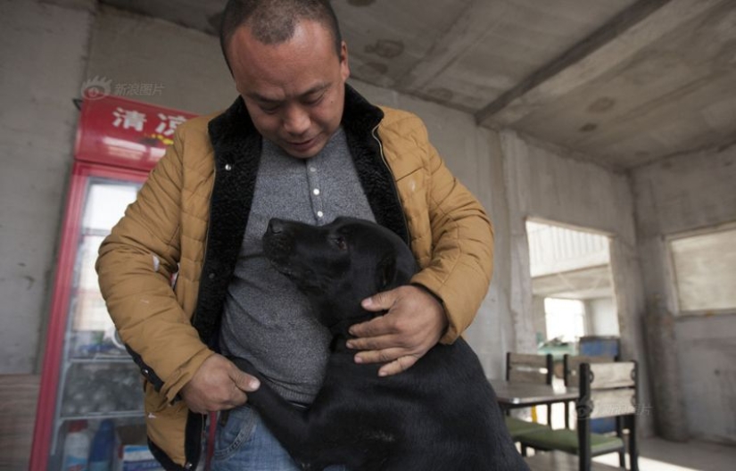 Chinese millionaire goes broke because of dogs