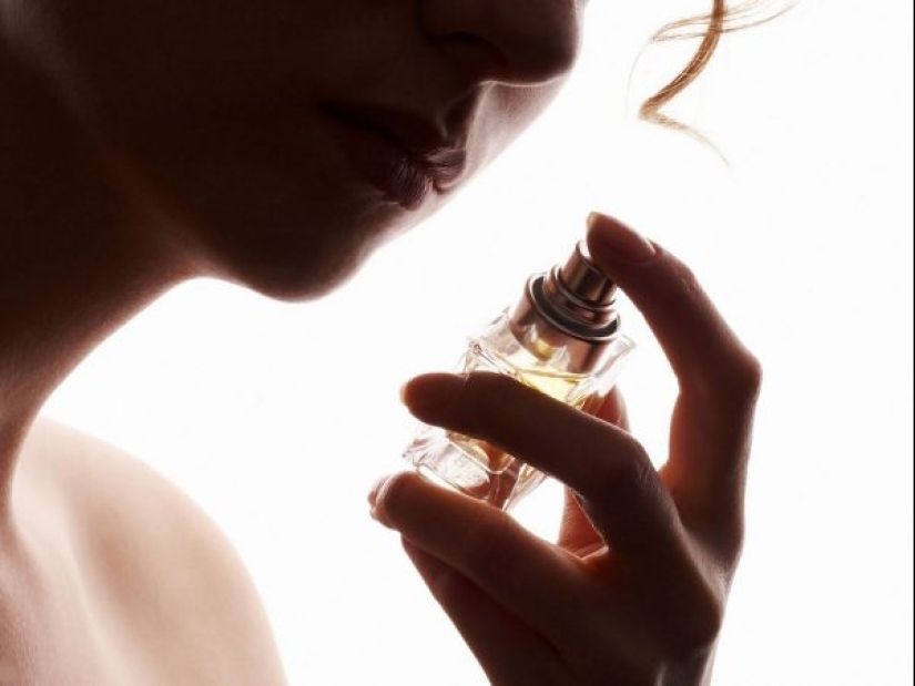 Chord absolute, and 6 perfumes of terms that a shame not to know