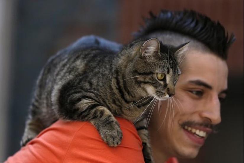 ciclista y su gato