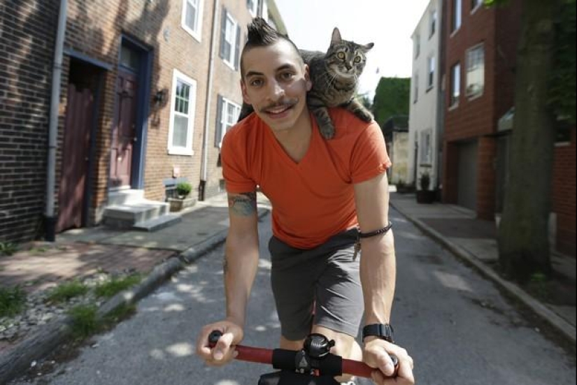 ciclista y su gato