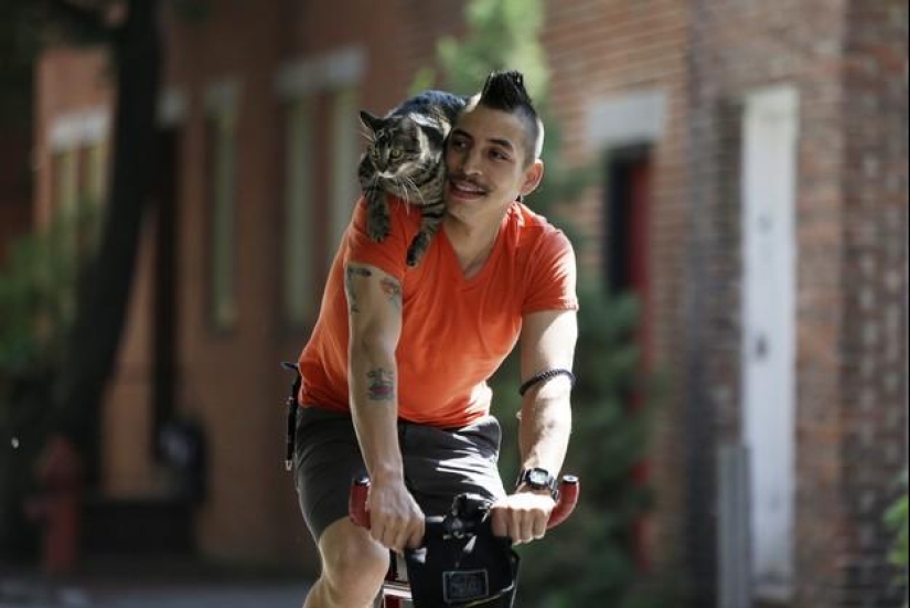 ciclista y su gato