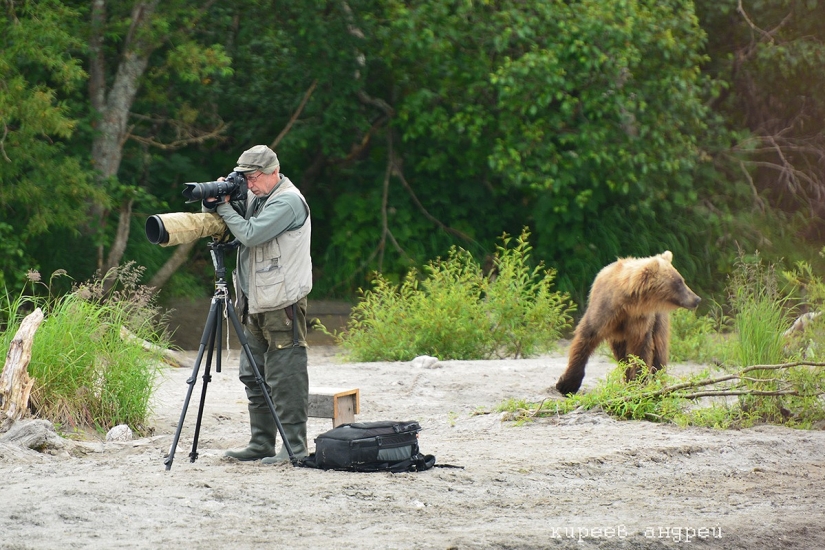 Cinco minutos en la vida de un fotógrafo de animales