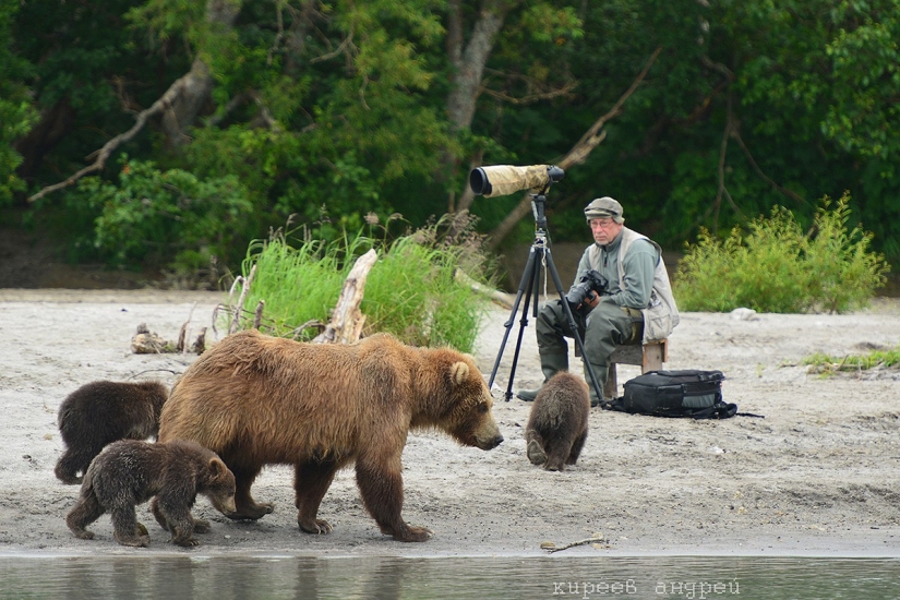 Cinco minutos en la vida de un fotógrafo de animales