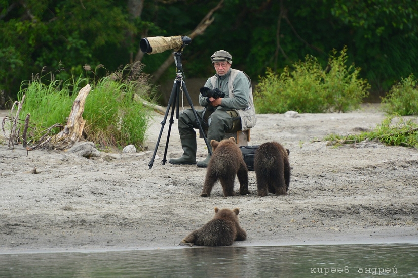 Cinco minutos en la vida de un fotógrafo de animales