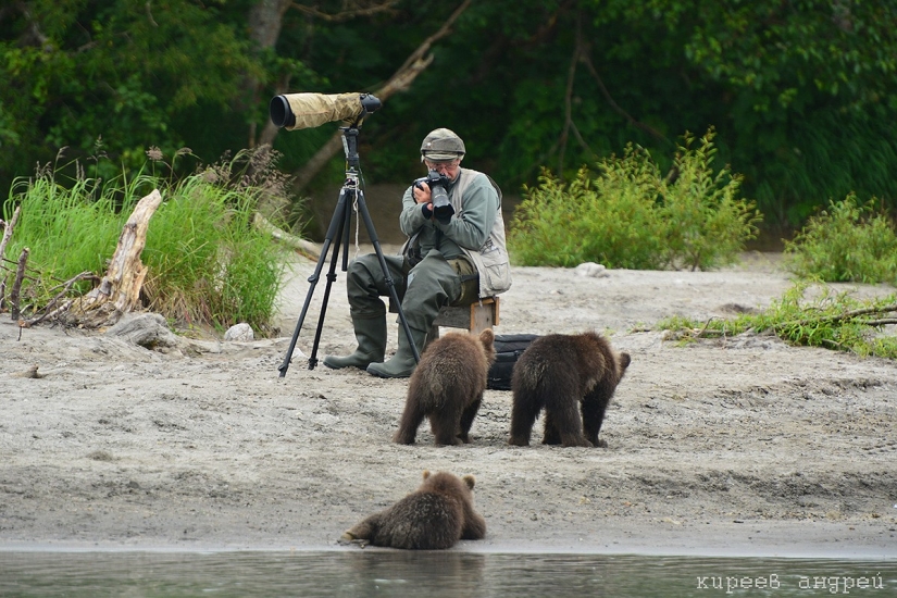 Cinco minutos en la vida de un fotógrafo de animales