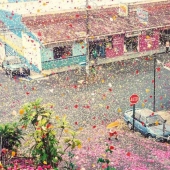 City in Costa Rica filled with 8 million flower petals