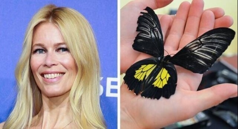Claudia Schiffer's Insect Collection and 14 more secret celebrity hobbies