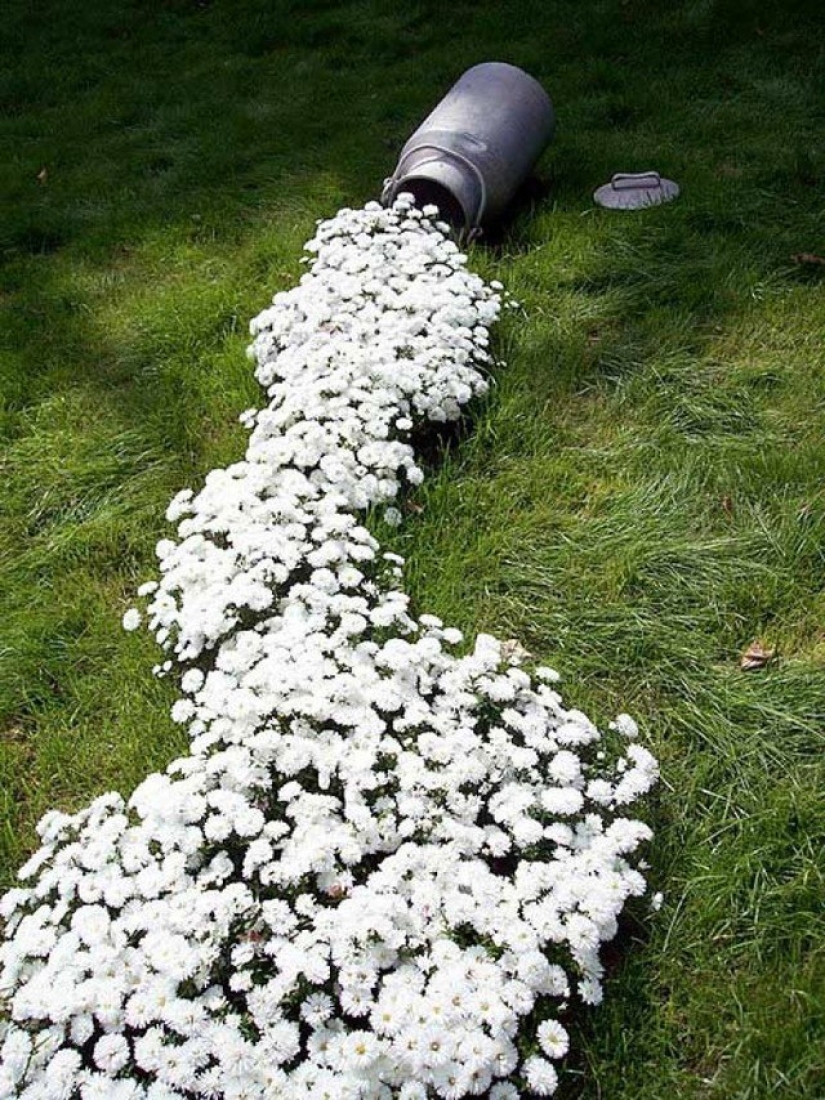 Cómo crear un macizo de flores hermoso e inusual a partir de materiales improvisados: 20 ejemplos