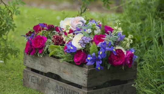 Cómo crear un macizo de flores hermoso e inusual a partir de materiales improvisados: 20 ejemplos